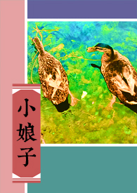 小娘子有氧运动健身操抖音直播在线看