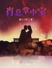 肖总不是总